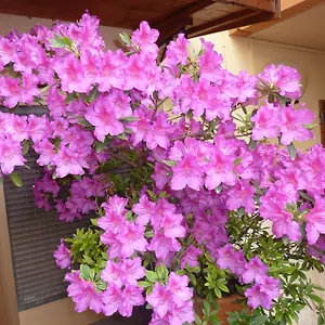 primettahouse.it-tuscanyhotel.com/